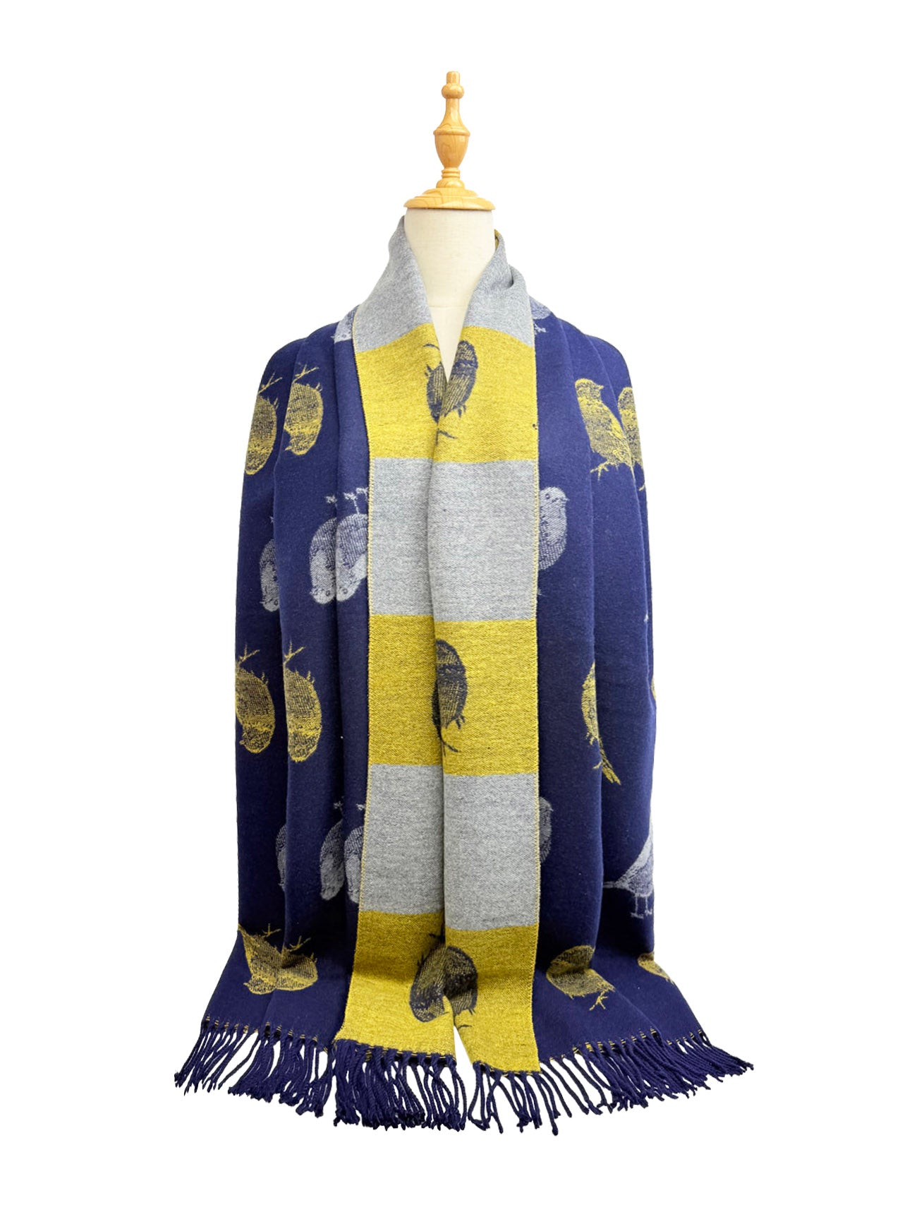 New Coming Winter Fashion Scarf for Women - Soft and Stylish Design